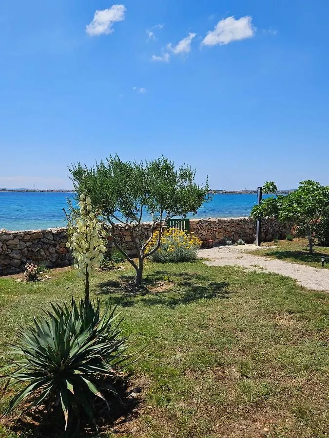 Holiday House Adriana Villa Povljana 0*,