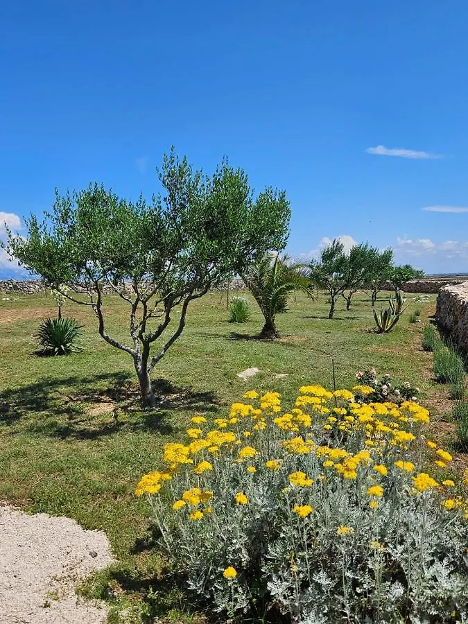 Holiday House Adriana Villa Povljana